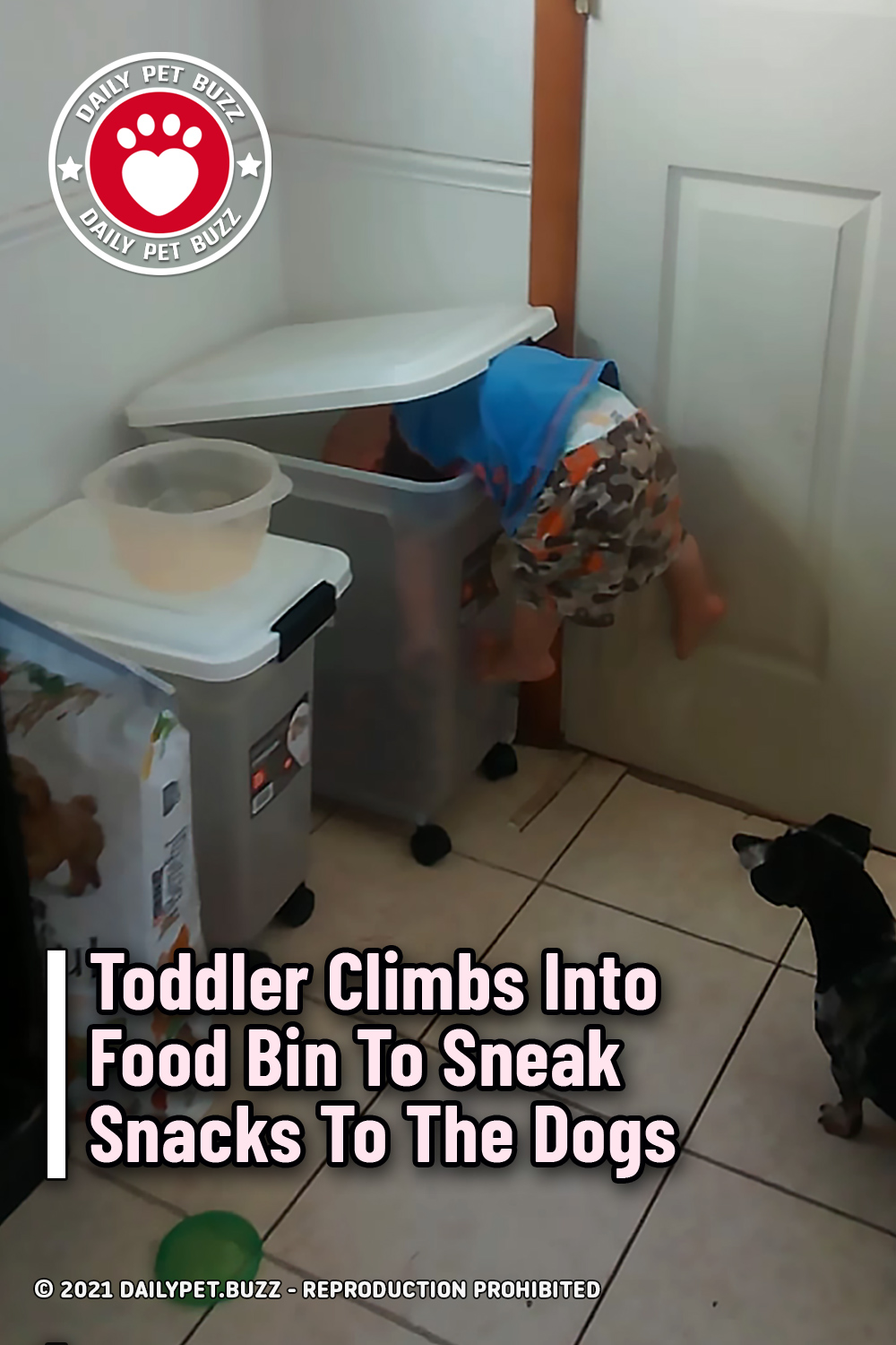 Toddler Climbs Into Food Bin To Sneak Snacks To The Dogs