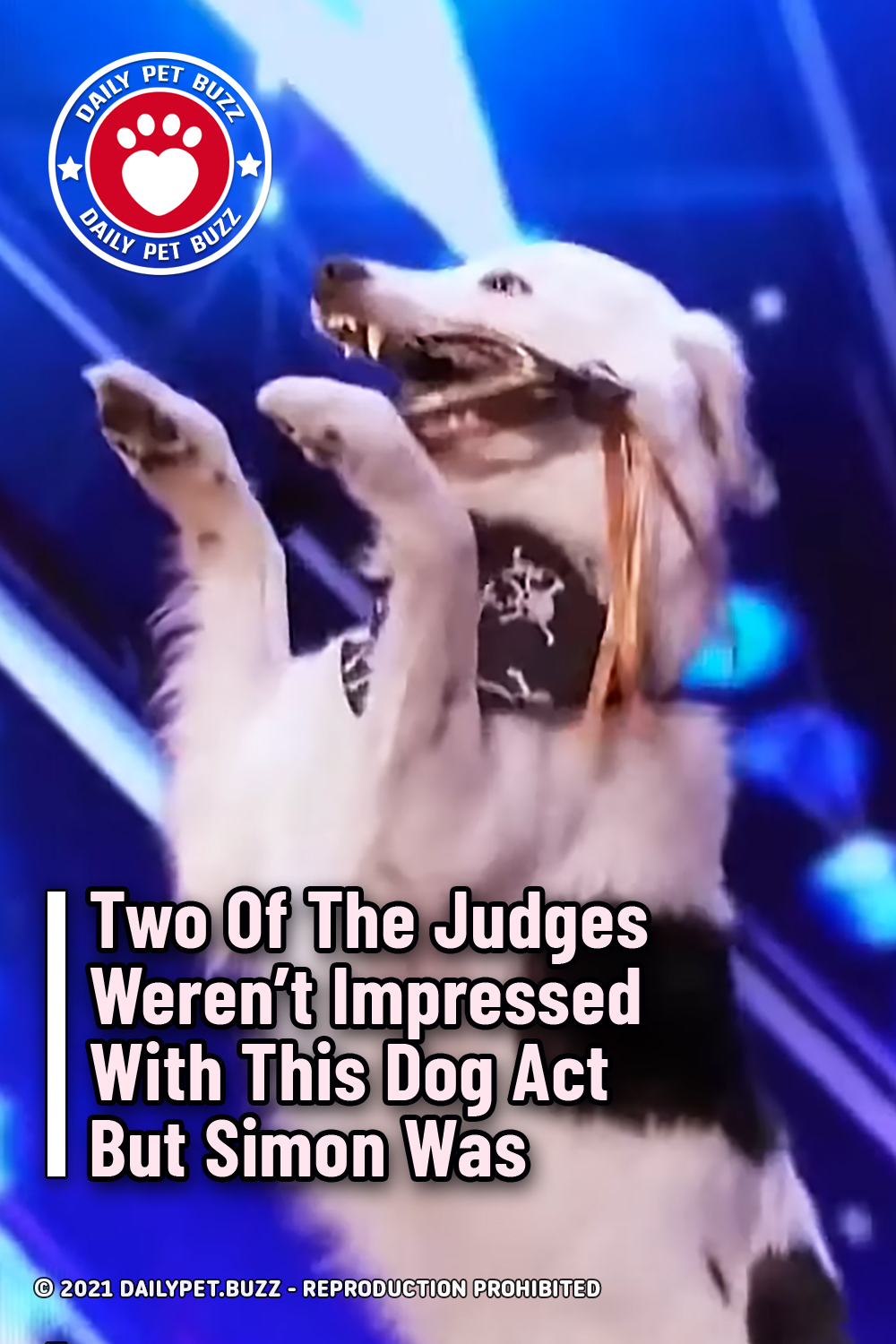 Two Of The Judges Weren\'t Impressed With This Dog Act But Simon Was