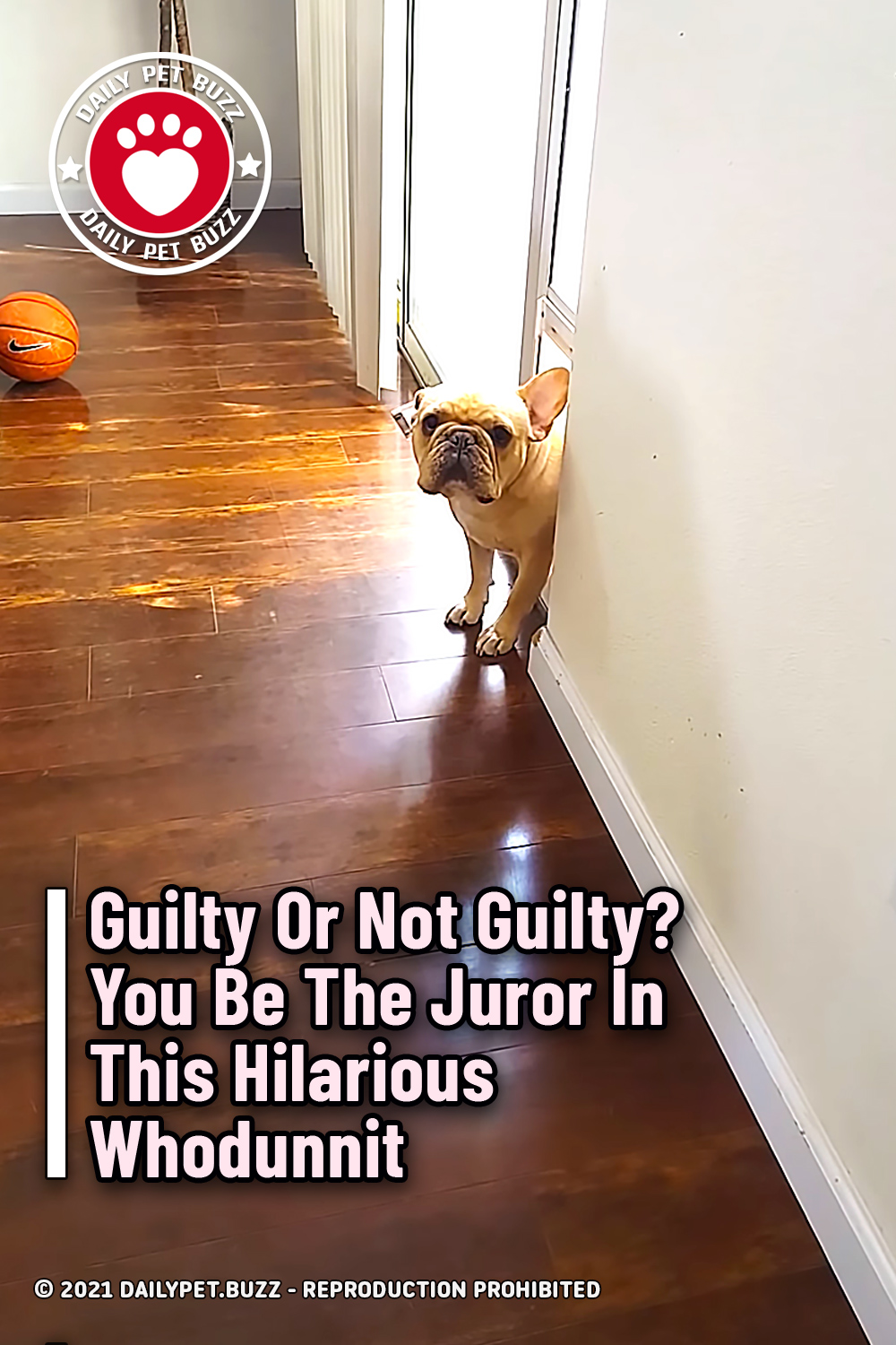 Guilty Or Not Guilty? You Be The Juror In This Hilarious Whodunnit