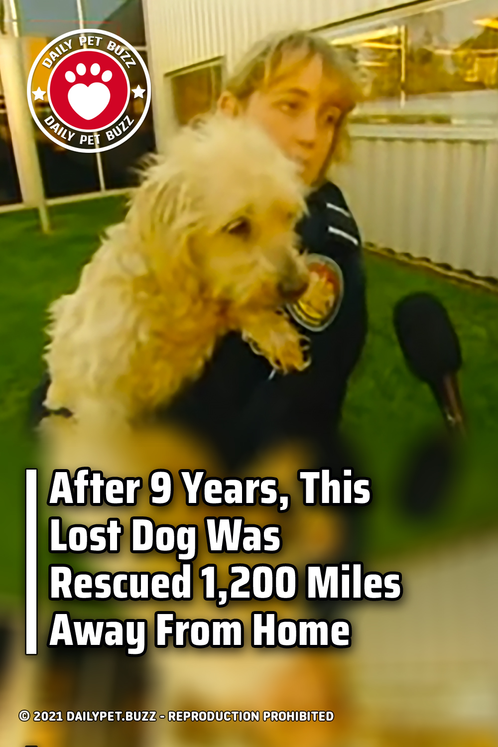 After 9 Years, This Lost Dog Was Rescued 1,200 Miles Away From Home