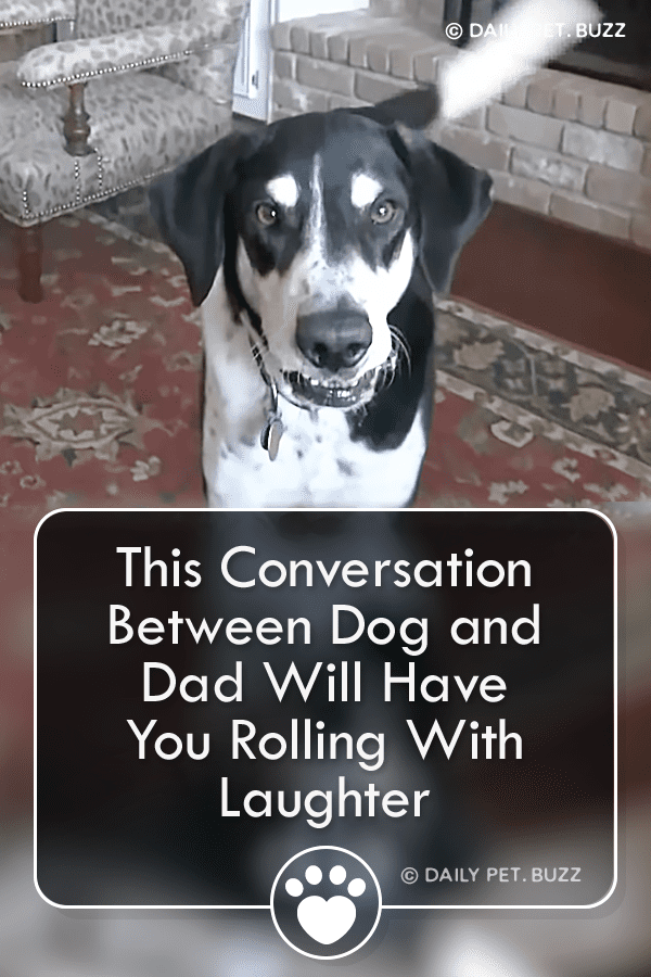 This Conversation Between Dog and Dad Will Have You Rolling With Laughter