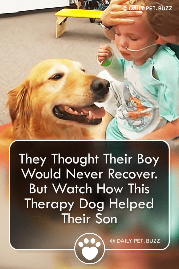 They Thought Their Boy Would Never Recover. But Watch How This Therapy Dog Helped Their Son