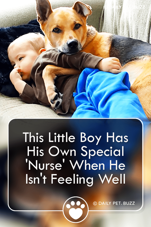 This Little Boy Has His Own Special \'Nurse\' When He Isn\'t Feeling Well