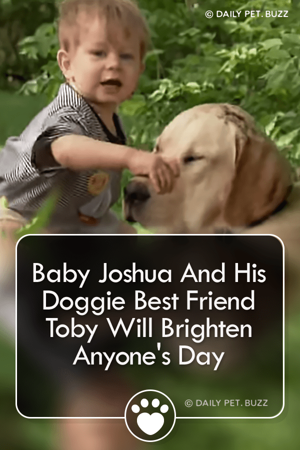 Baby Joshua And His Doggie Best Friend Toby Will Brighten Anyone\'s Day