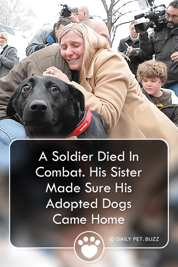 A Soldier Died In Combat. His Sister Made Sure His Adopted Dogs Came Home