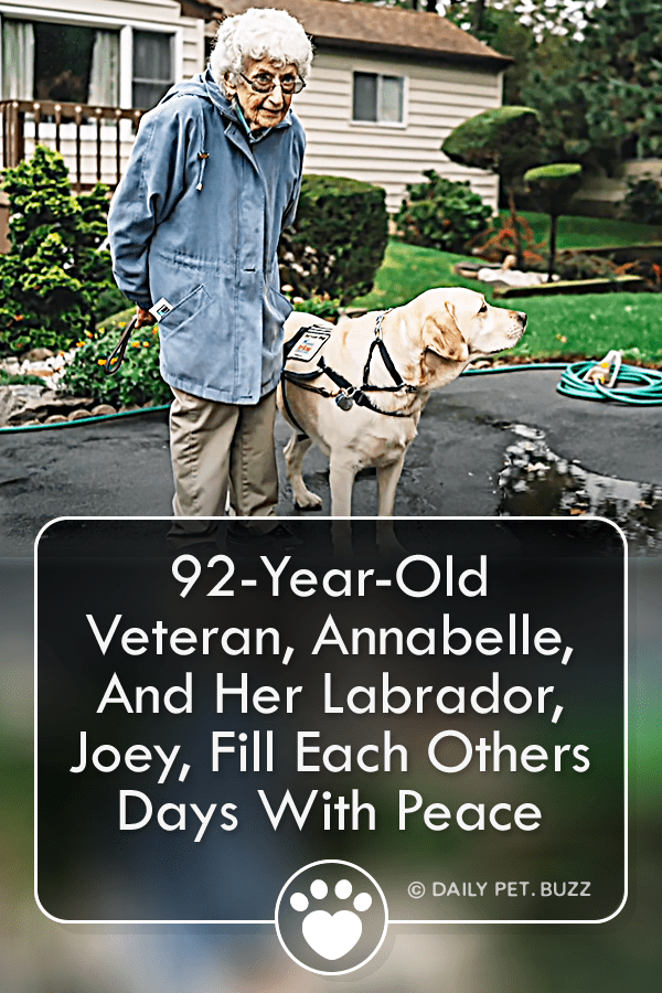 92-Year-Old Veteran, Annabelle, And Her Labrador, Joey, Fill Each Others Days With Peace