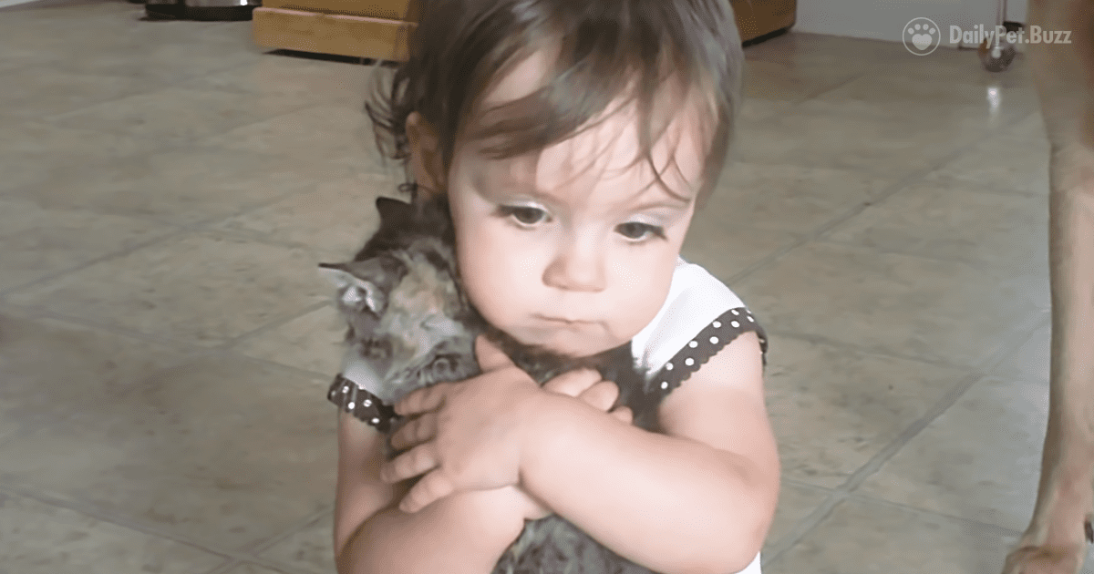 Baby Olivia is Overwhelmed with Love for Her New Kitten