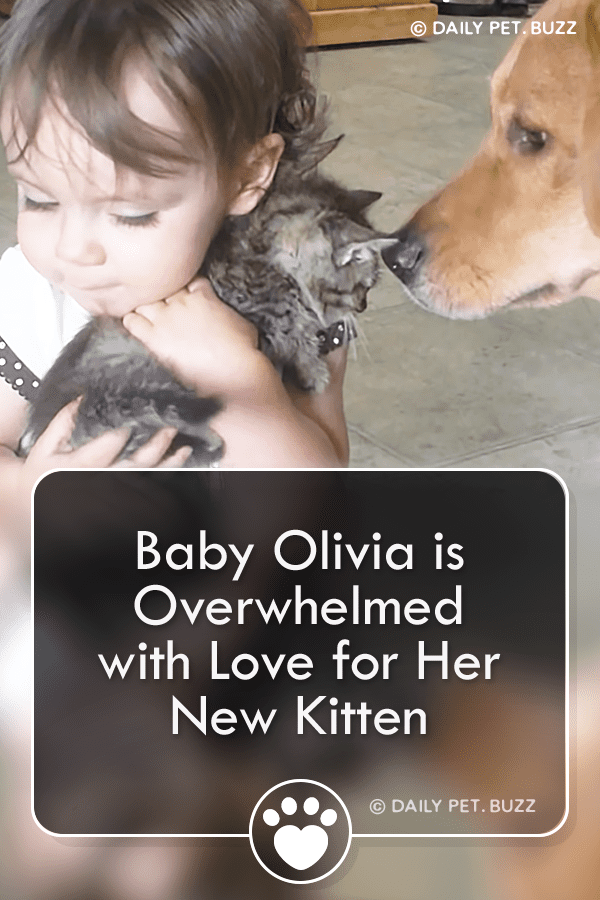 Baby Olivia is Overwhelmed with Love for Her New Kitten