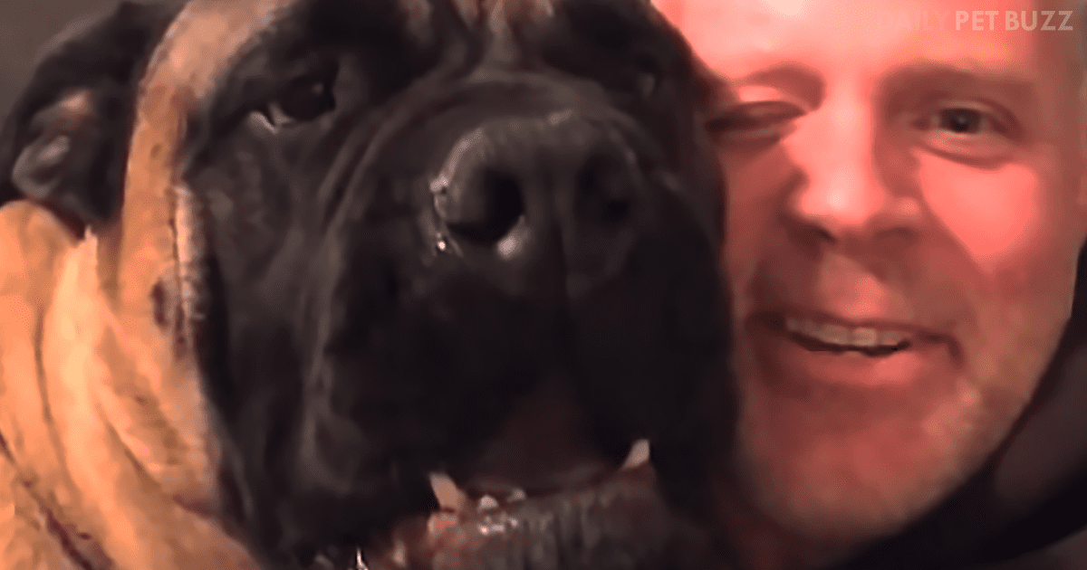 When Dad Starts Singing, This Pooch Does All He Can To Get Him To Stop