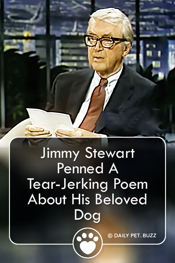 Jimmy Stewart Penned A Tear-Jerking Poem About His Beloved Dog