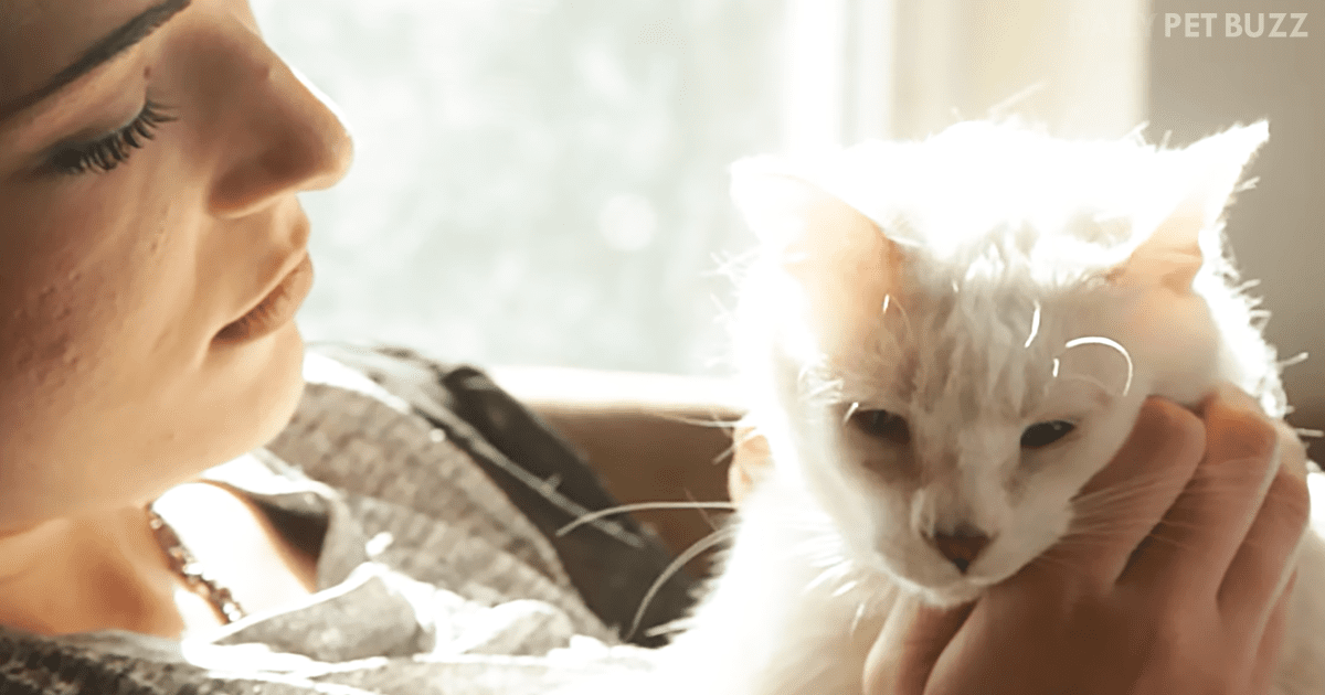 Severely Disabled Kitten Kept Fighting The Fight And Now Has A Mom Who Adores Him