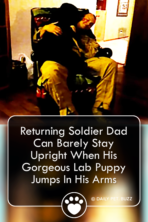 Returning Soldier Dad Can Barely Stay Upright When His Gorgeous Lab Puppy Jumps In His Arms