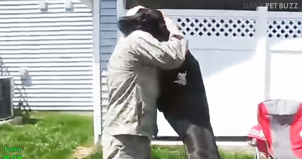 Grab The Tissues For Your Happy Tears With This Compilation Of Dogs Reuniting With Their Soldier Moms And Dads