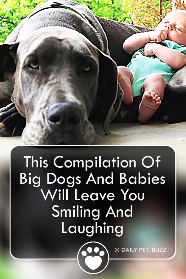 This Compilation Of Big Dogs And Babies Will Leave You Smiling And Laughing