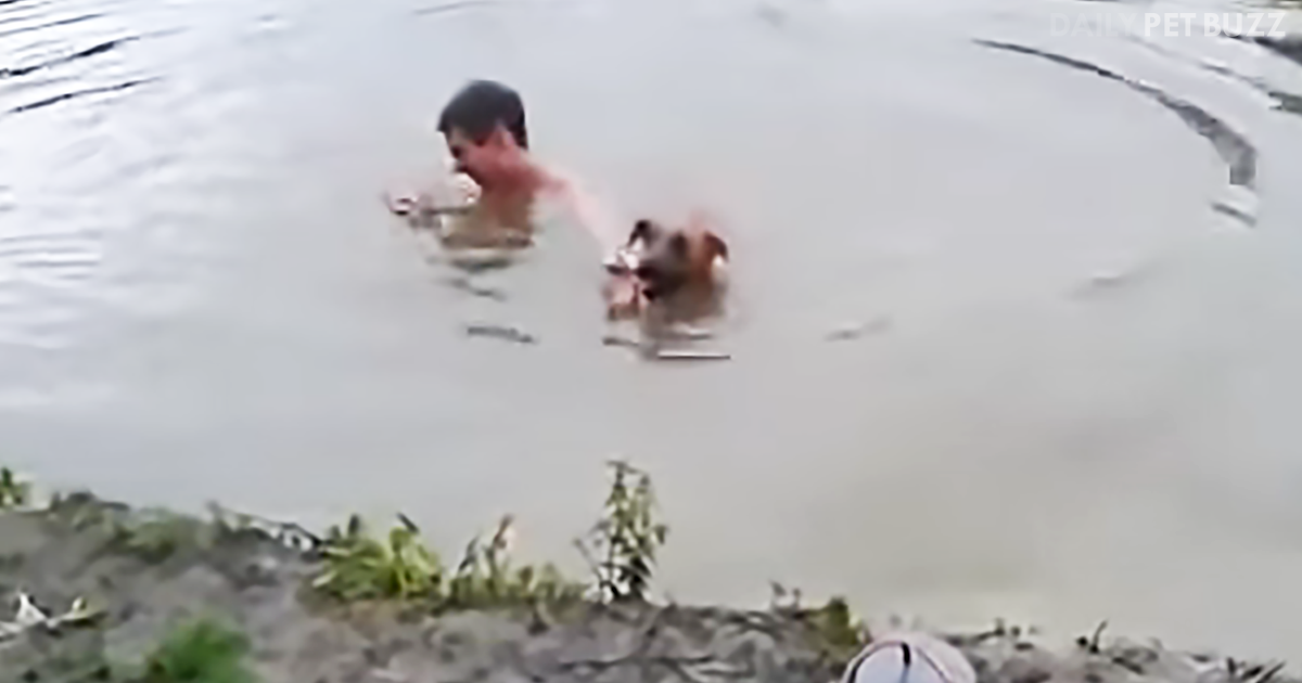 When His Dad Went Under The Water For Too Long, This Hero Dog Knew Just What To Do