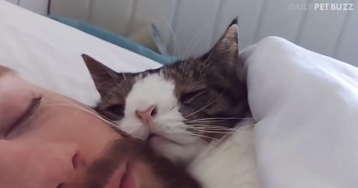 Monty The Cat Was Ignored For Years Until This Man Came Along And Now His Life Is Purrfect