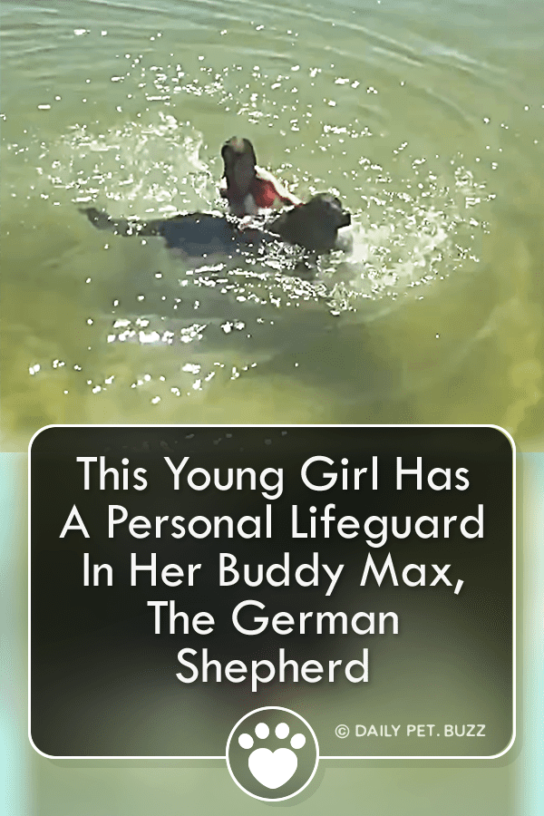 This Young Girl Has A Personal Lifeguard In Her Buddy Max, The German Shepherd
