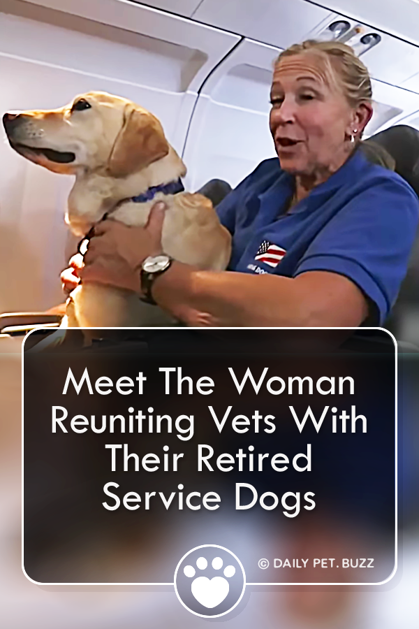 Meet The Woman Reuniting Vets With Their Retired Service Dogs