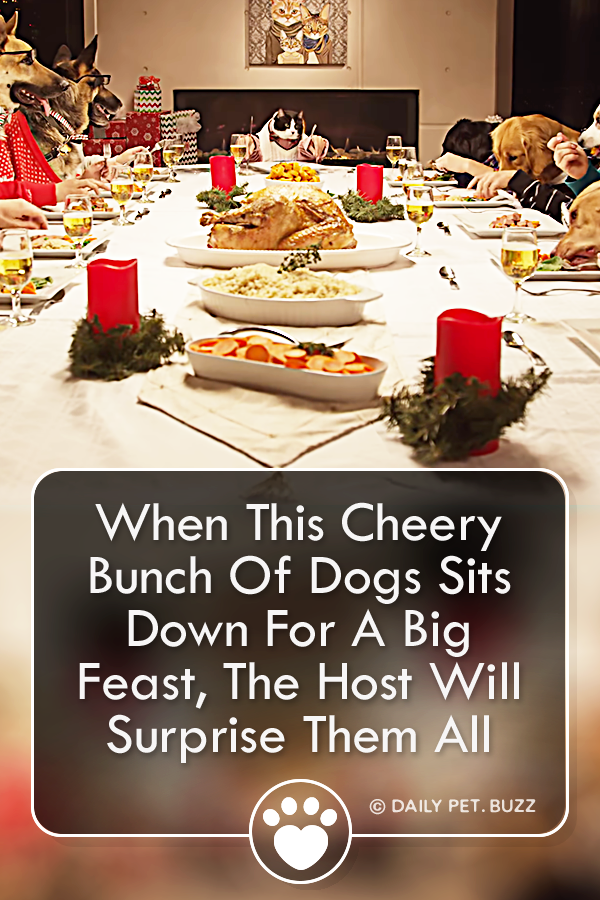 When This Cheery Bunch Of Dogs Sits Down For A Big Feast, The Host Will Surprise Them All