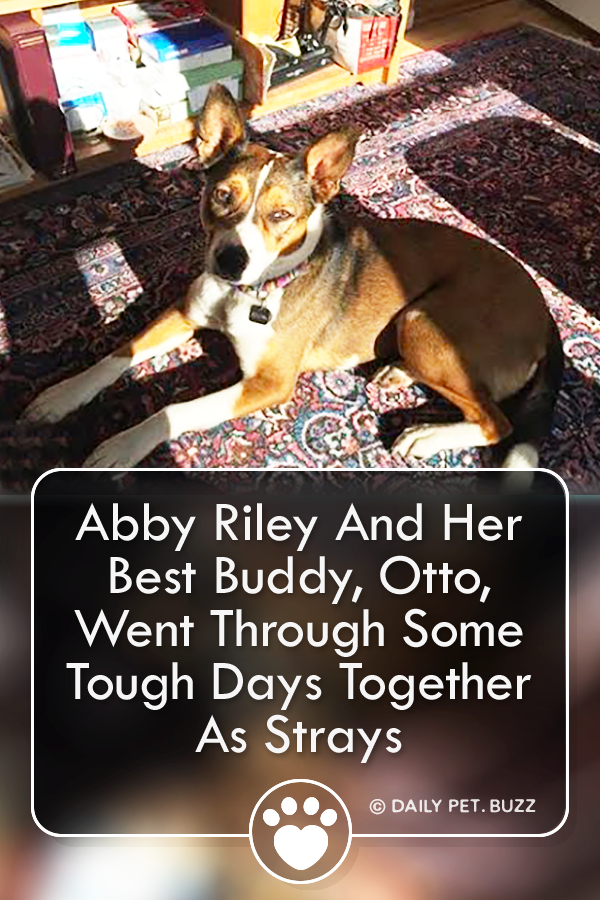 Abby Riley And Her Best Buddy, Otto, Went Through Some Tough Days Together As Strays