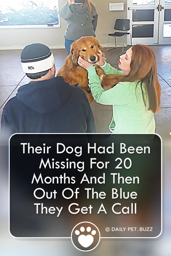 Their Dog Had Been Missing For 20 Months And Then Out Of The Blue They Get A Call