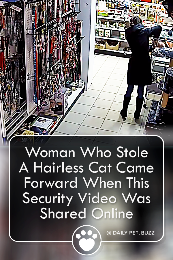 Woman Who Stole A Hairless Cat Came Forward When This Security Video Was Shared Online
