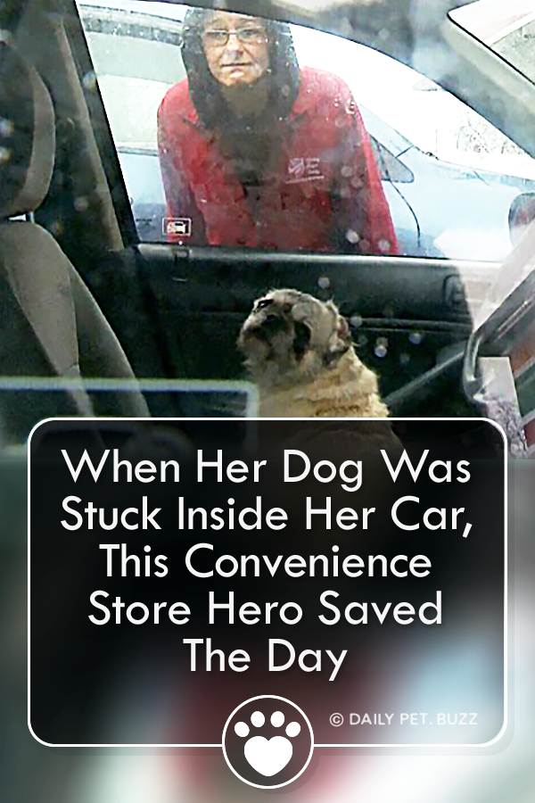 When Her Dog Was Stuck Inside Her Car, This Convenience Store Hero Saved The Day