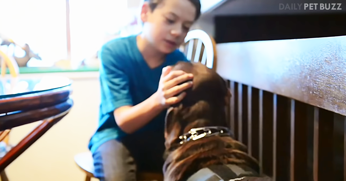 Inmate Trained Dog Is The Best Friend And Therapy Dog To Boy With Asperger's