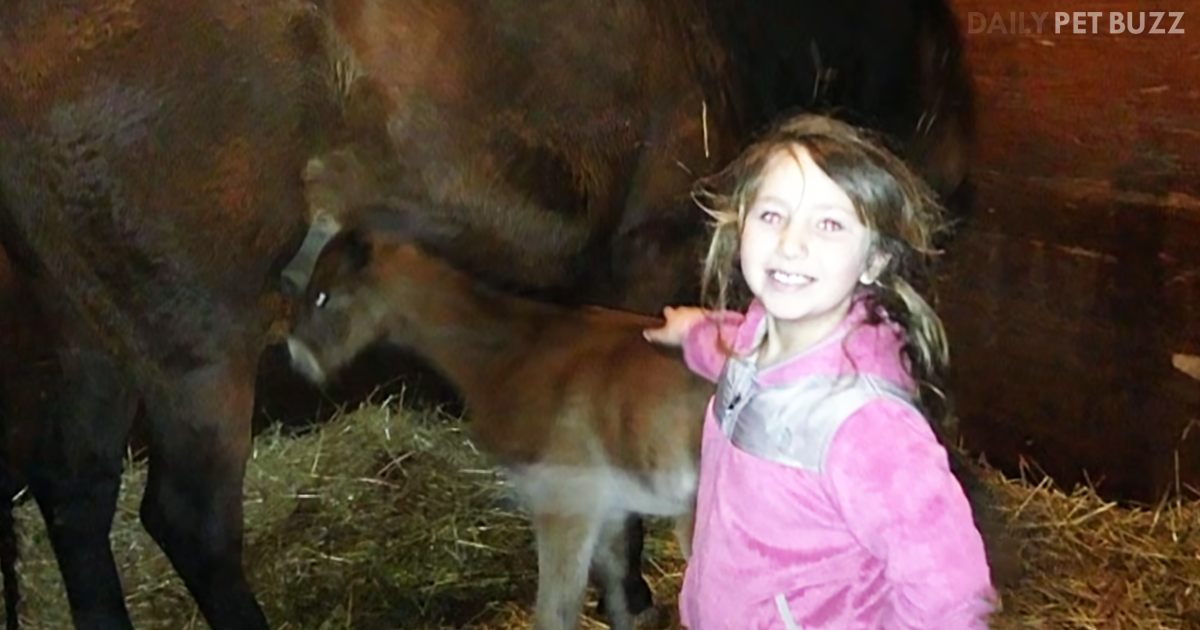 This Dad Is Pretty Happy That His Daughter Convinced Him To Keep Her Horse
