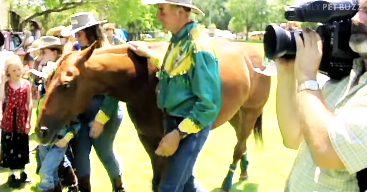 Line Dancing Family Bring Down The House When Their Horse Joins In