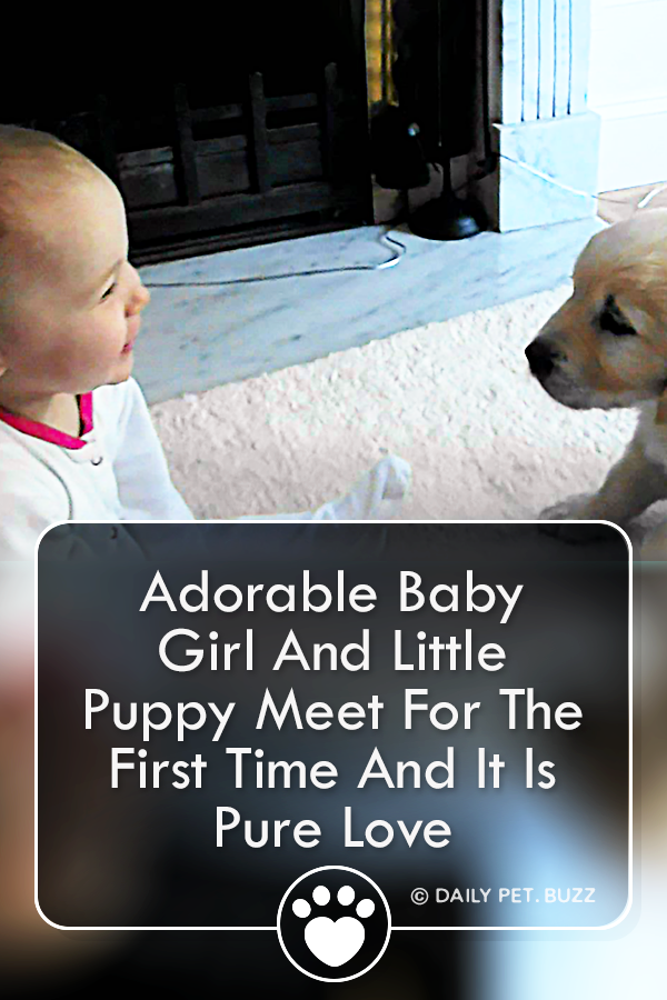 Adorable Baby Girl And Little Puppy Meet For The First Time And It Is Pure Love