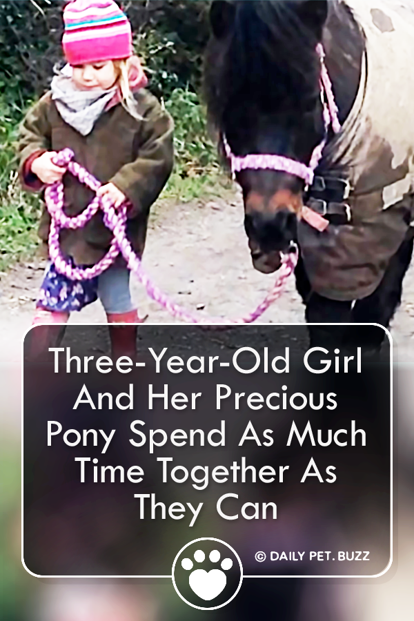 Three-Year-Old Girl And Her Precious Pony Spend As Much Time Together As They Can