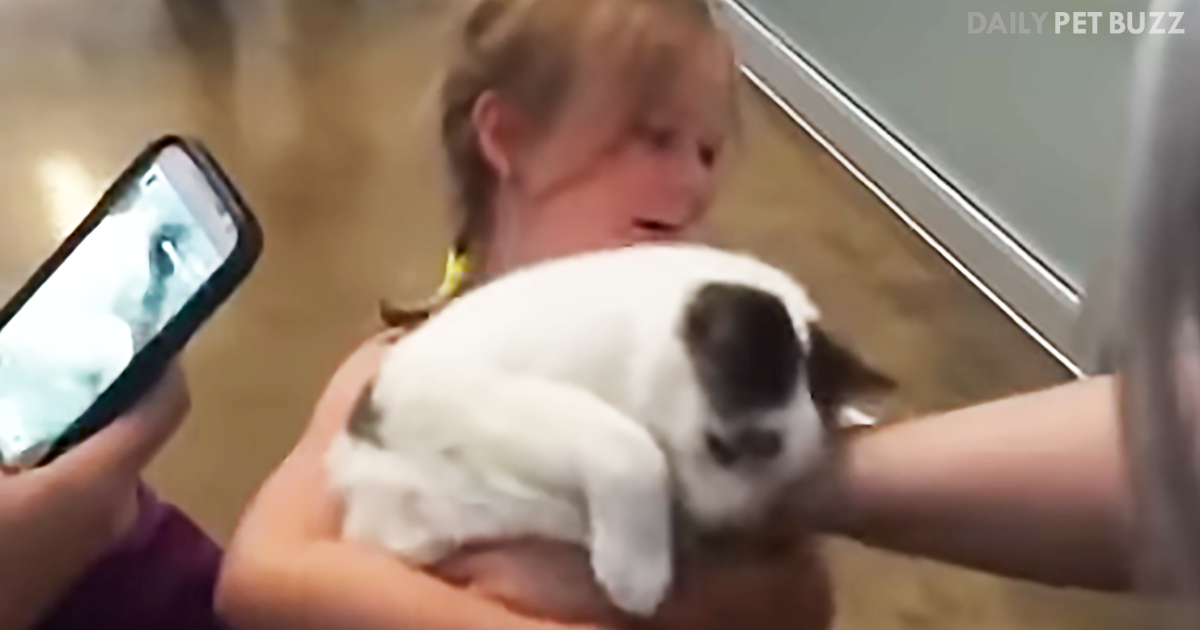 The Expression On This Girl's Face When She Reunites With Her Missing Cat Is Raw And Beautiful
