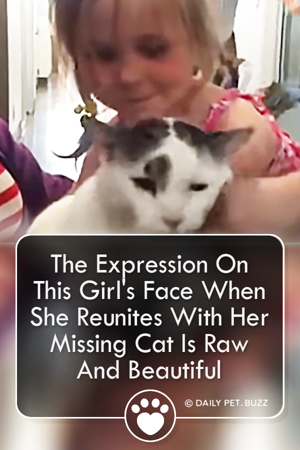 The Expression On This Girl\'s Face When She Reunites With Her Missing Cat Is Raw And Beautiful