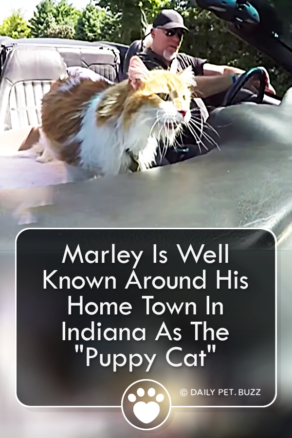 Marley Is Well Known Around His Home Town In Indiana As The \