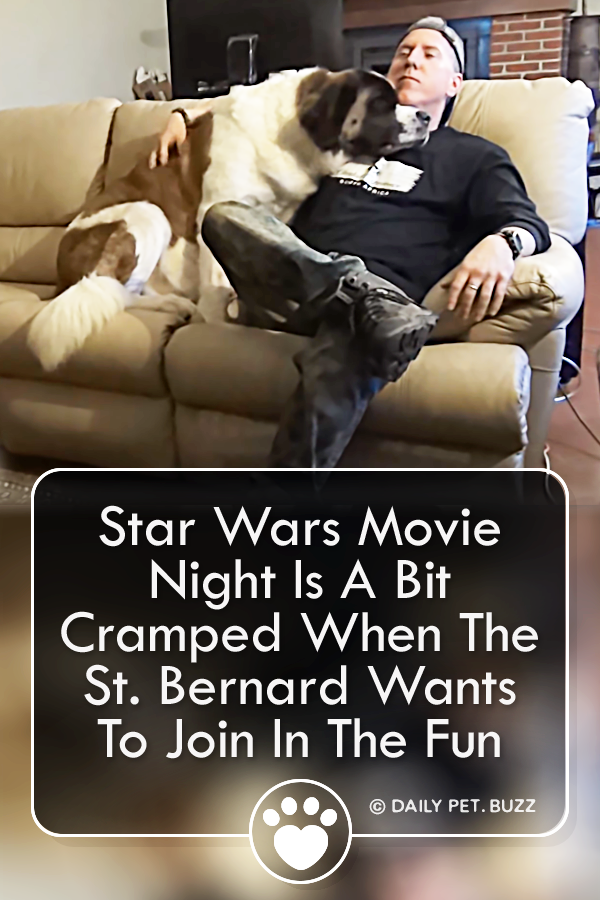 Star Wars Movie Night Is A Bit Cramped When The St. Bernard Wants To Join In The Fun