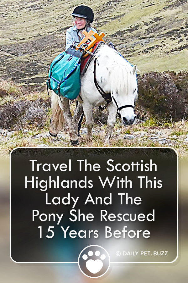 Travel The Scottish Highlands With This Lady And The Pony She Rescued 15 Years Before