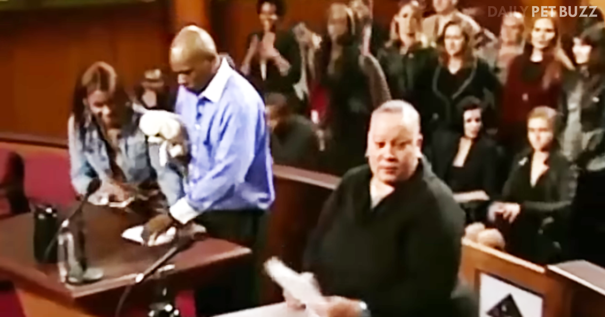 They Can't Stop Arguing Over Who Gets The Dog So Judge Judy Comes Up With Brilliant Plan