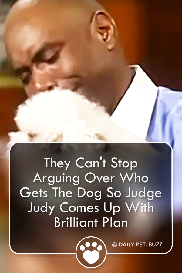 They Can\'t Stop Arguing Over Who Gets The Dog So Judge Judy Comes Up With Brilliant Plan