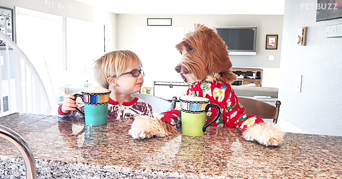 This Toddler And His Precious Pooch Have A Remarkably Sweet Morning Routine
