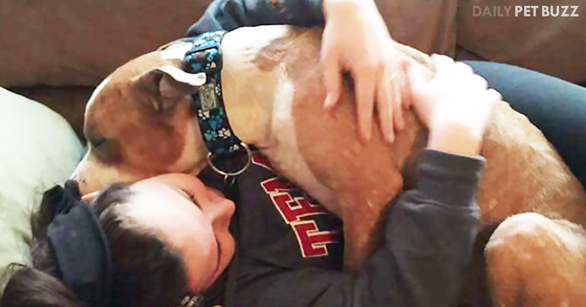 Woman Saves Dog From The Shelter Who Can't Stop Snuggling With Her