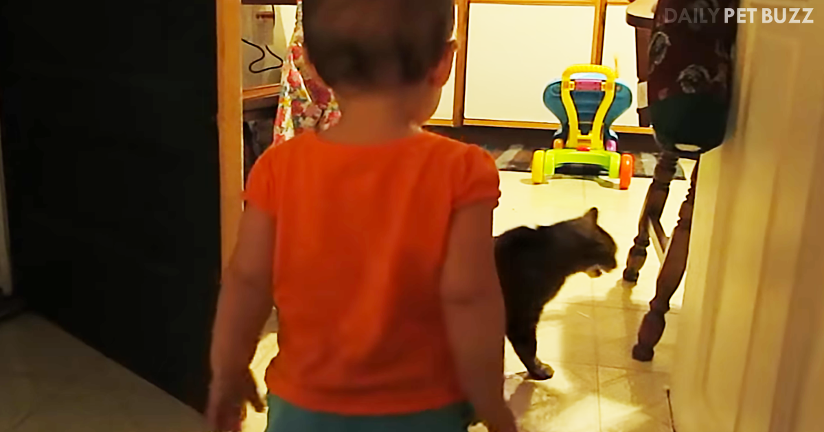 Toddler Girl And Her Cat Have The Most In-Depth Conversations Every Day