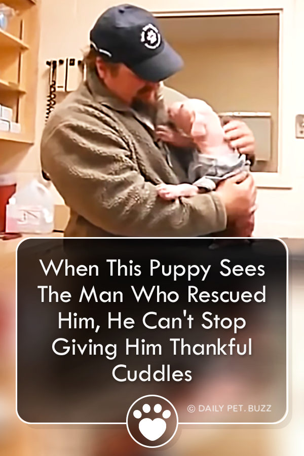 When This Puppy Sees The Man Who Rescued Him, He Can\'t Stop Giving Him Thankful Cuddles