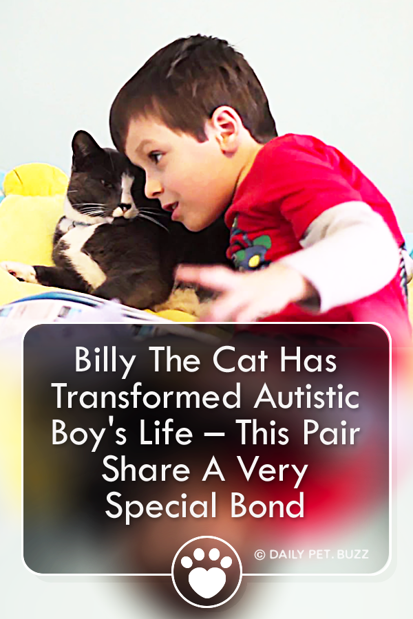 Billy The Cat Has Transformed Autistic Boy\'s Life – This Pair Share A Very Special Bond