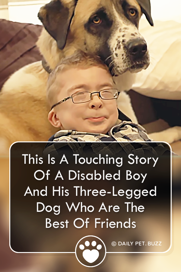 This Is A Touching Story Of A Disabled Boy And His Three-Legged Dog Who Are The Best Of Friends