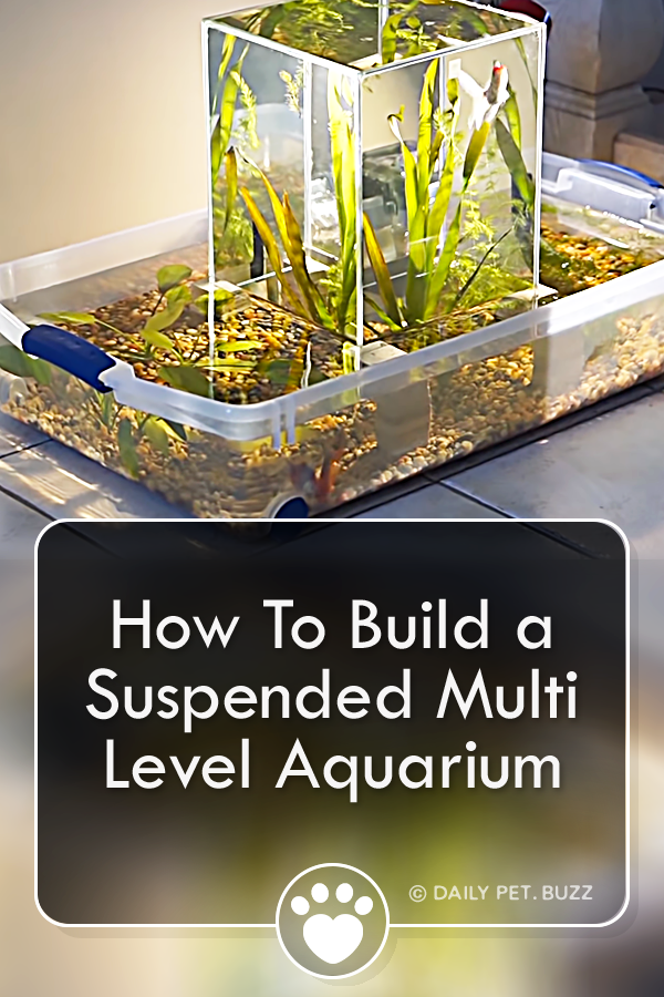 How To Build a Suspended Multi Level Aquarium