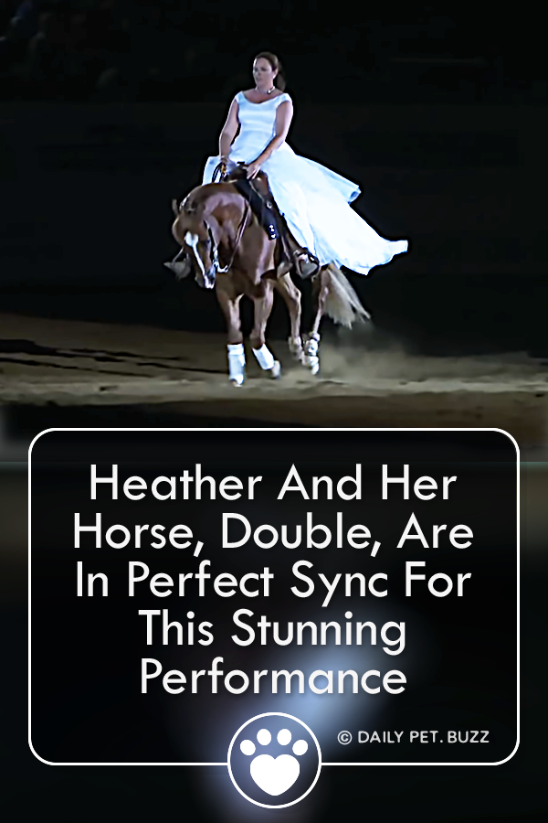 Heather And Her Horse, Double, Are In Perfect Sync For This Stunning Performance
