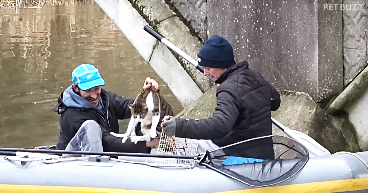 Cat Who Had Been Missing For Over A Year Is Spectacularly Saved From A River In Norwich