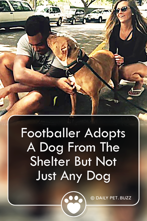Footballer Adopts A Dog From The Shelter But Not Just Any Dog