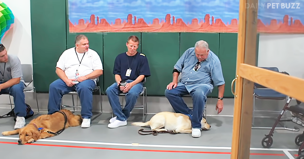 This Incredible Program Has Prisoners Helping Train Dogs For The Blind